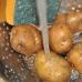 Како да лупите компири