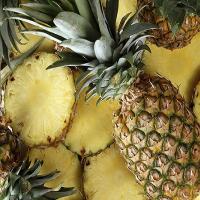Ananas, njegove koristi in škoda za zdravje Ananas na str