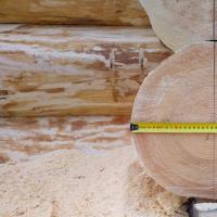 Rounded logs - characteristics, types, sizes, pros and cons Bathhouse made of large and huge logs