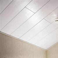 Inštaláciu PVC panelov na strop vykonávame vlastnými rukami: výhody a nuansy Strop z inštalácie napínacích panelov